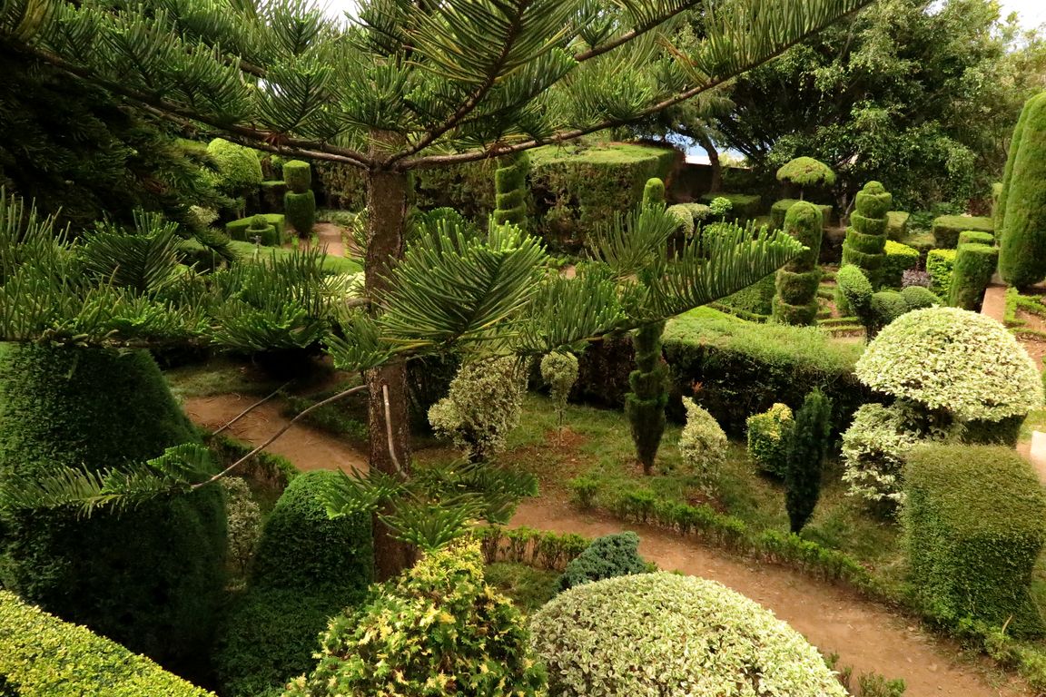 Madeira_2015_07_26 (24)_Funchal_Jardim Botânico da Madeira