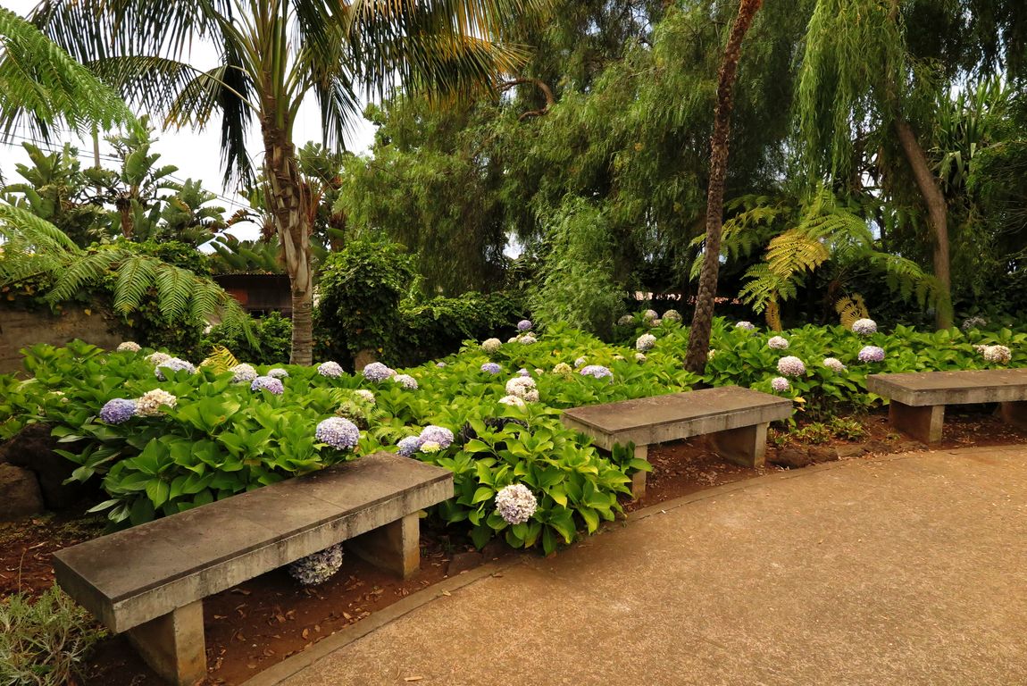 Madeira_2015_07_26 (28)_Funchal_Jardim Botânico da Madeira