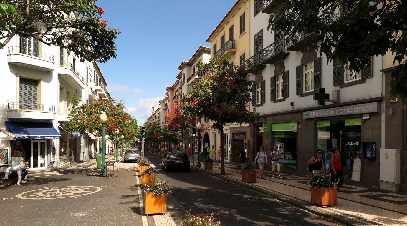 Madeira_2015_07_26 (60)_Funchal_Rua Dr. Fernao de Ornalas