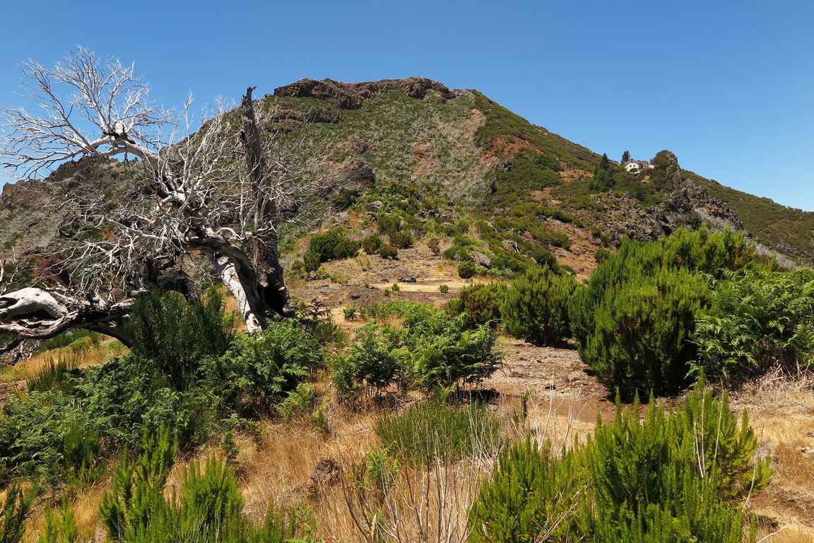 Madeira_2015_07_28 (29)_výstup na Pico Ruivo 1862 m.n.m.