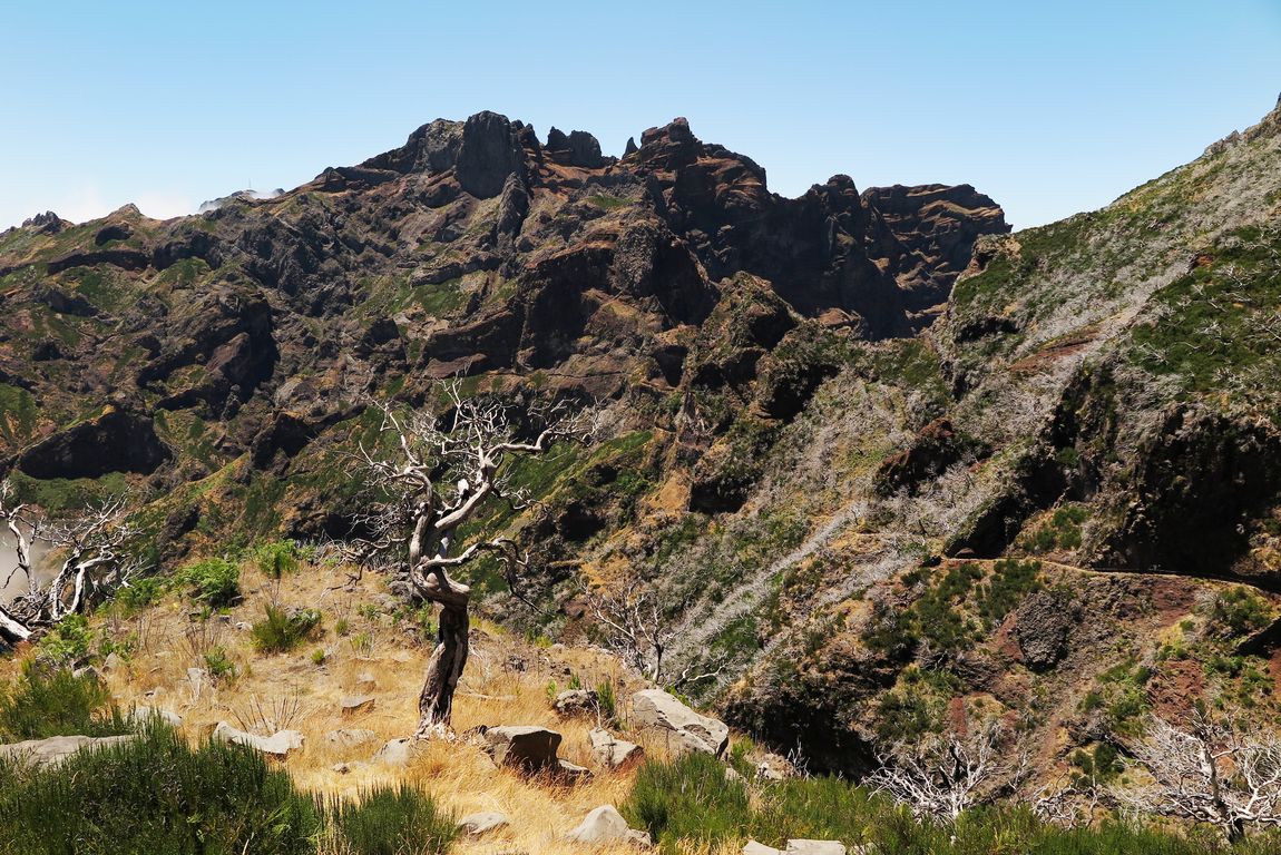 Madeira_2015_07_28 (30)_výstup na Pico Ruivo 1862 m.n.m.