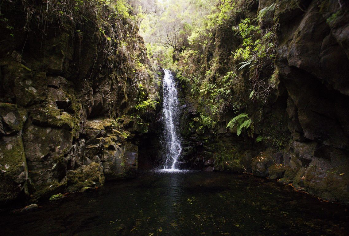 Madeira_2015_07_30 (17)_leváda Da Rocha Vermelha