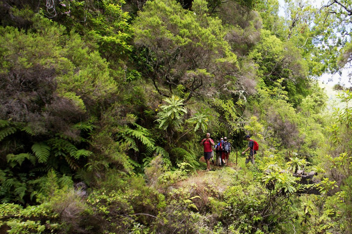 Madeira_2015_07_30 (18)_leváda Da Rocha Vermelha