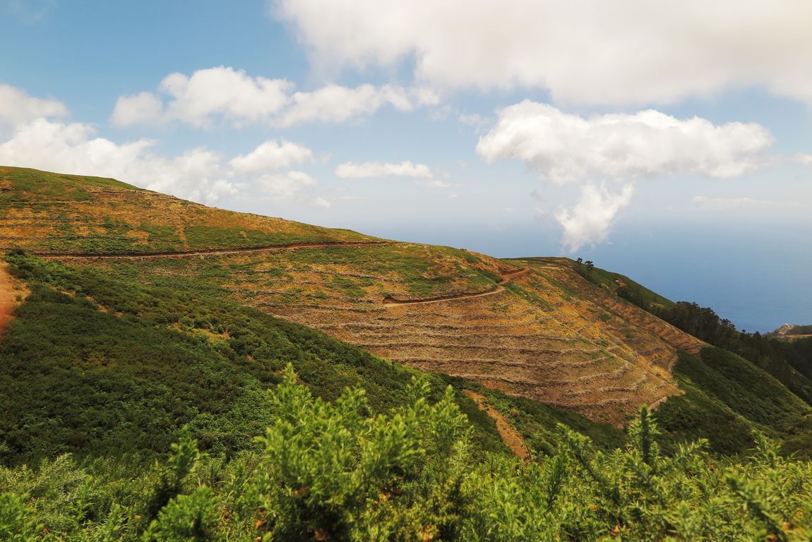 Madeira_2015_07_31 (14)_na levádě Do Paúl