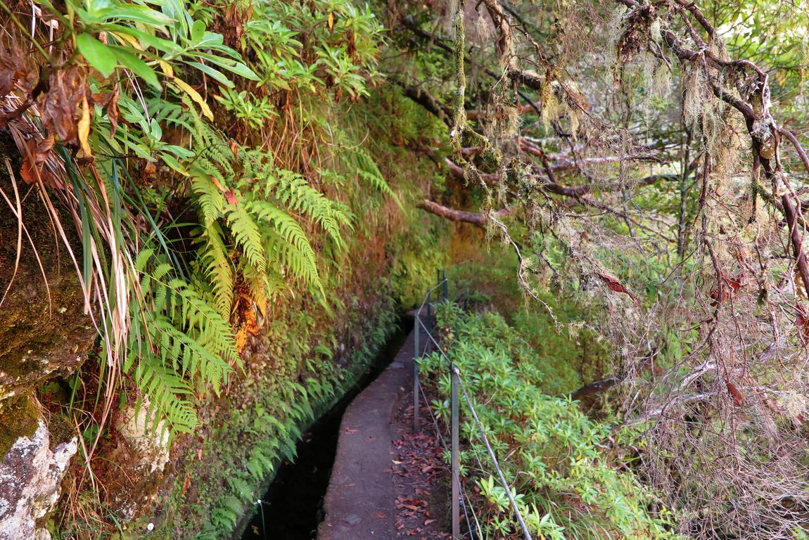 Madeira_2015_08_03 (3)_Levada do Caldeirao Verde