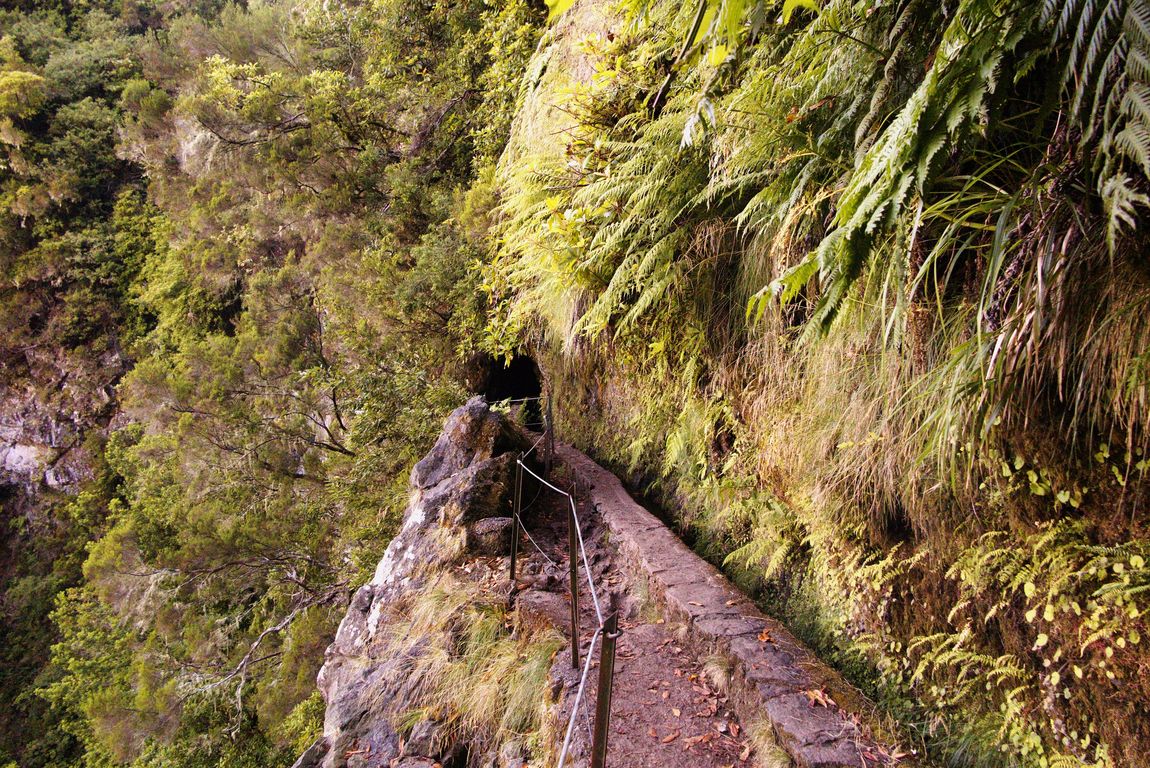 Madeira_2015_08_03 (11)_pokračování trasy do Caldeirao do Inferno