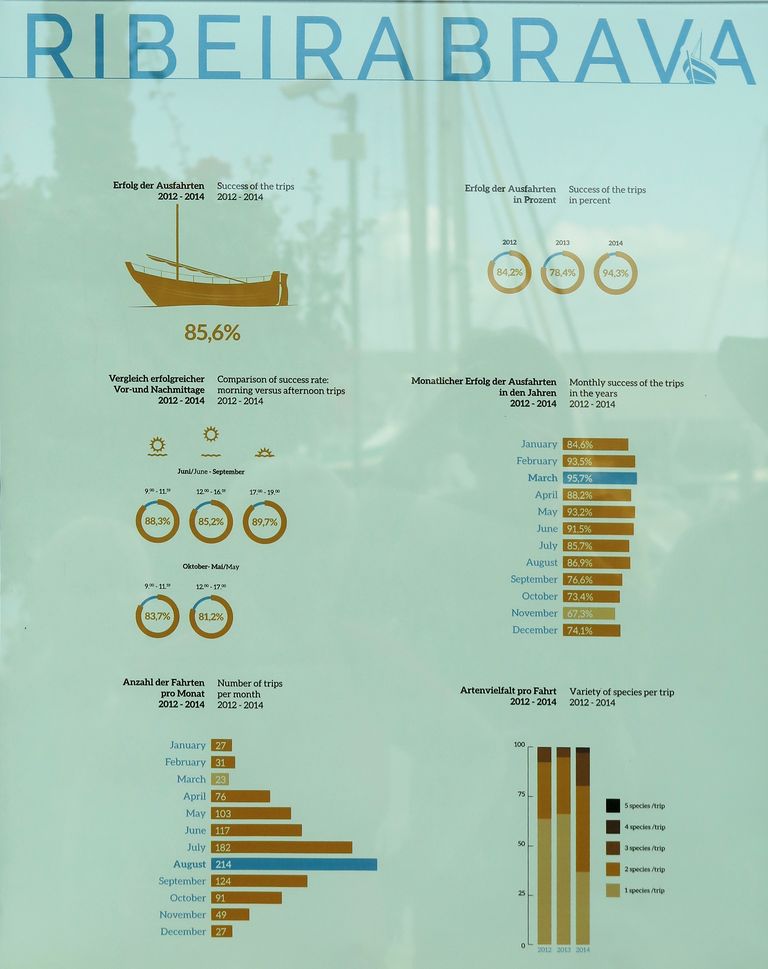 Madeira_2015_08_01 (14)_Calheta_statistika  výletů za velrybami