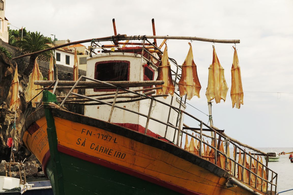 Madeira_2015_08_01 (52)_Câmara de Lobos