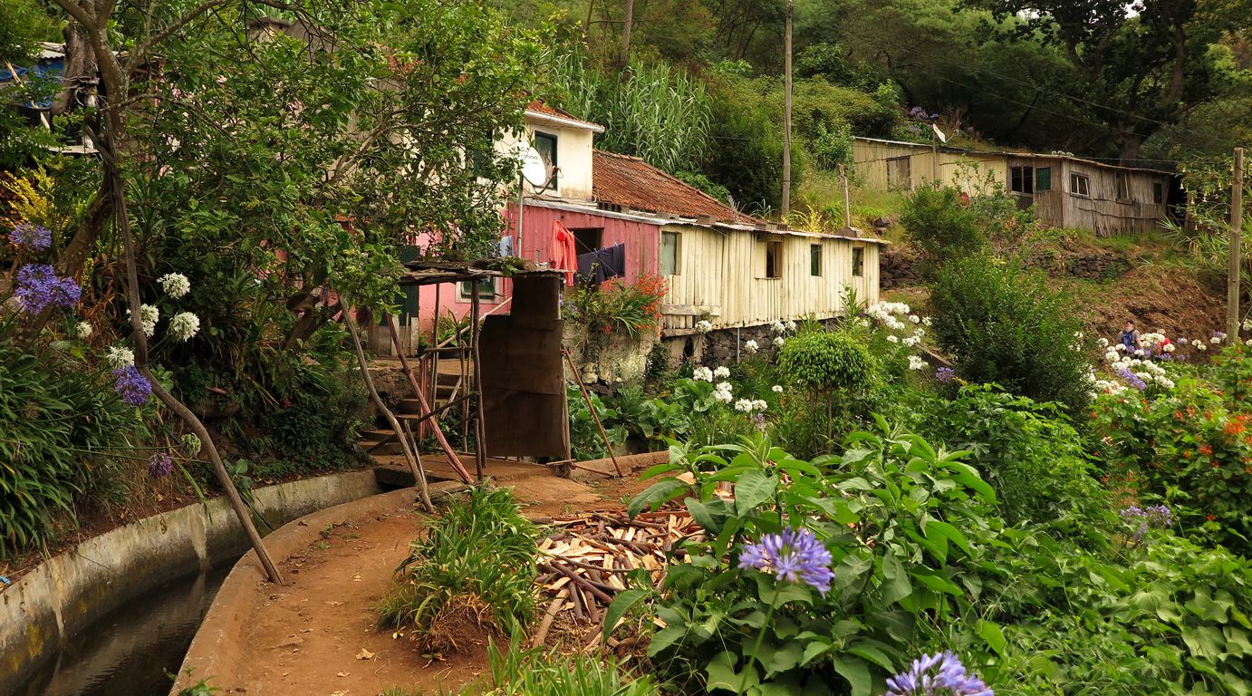 Madeira_2015_07_26_na levádě dos Tornos (11)