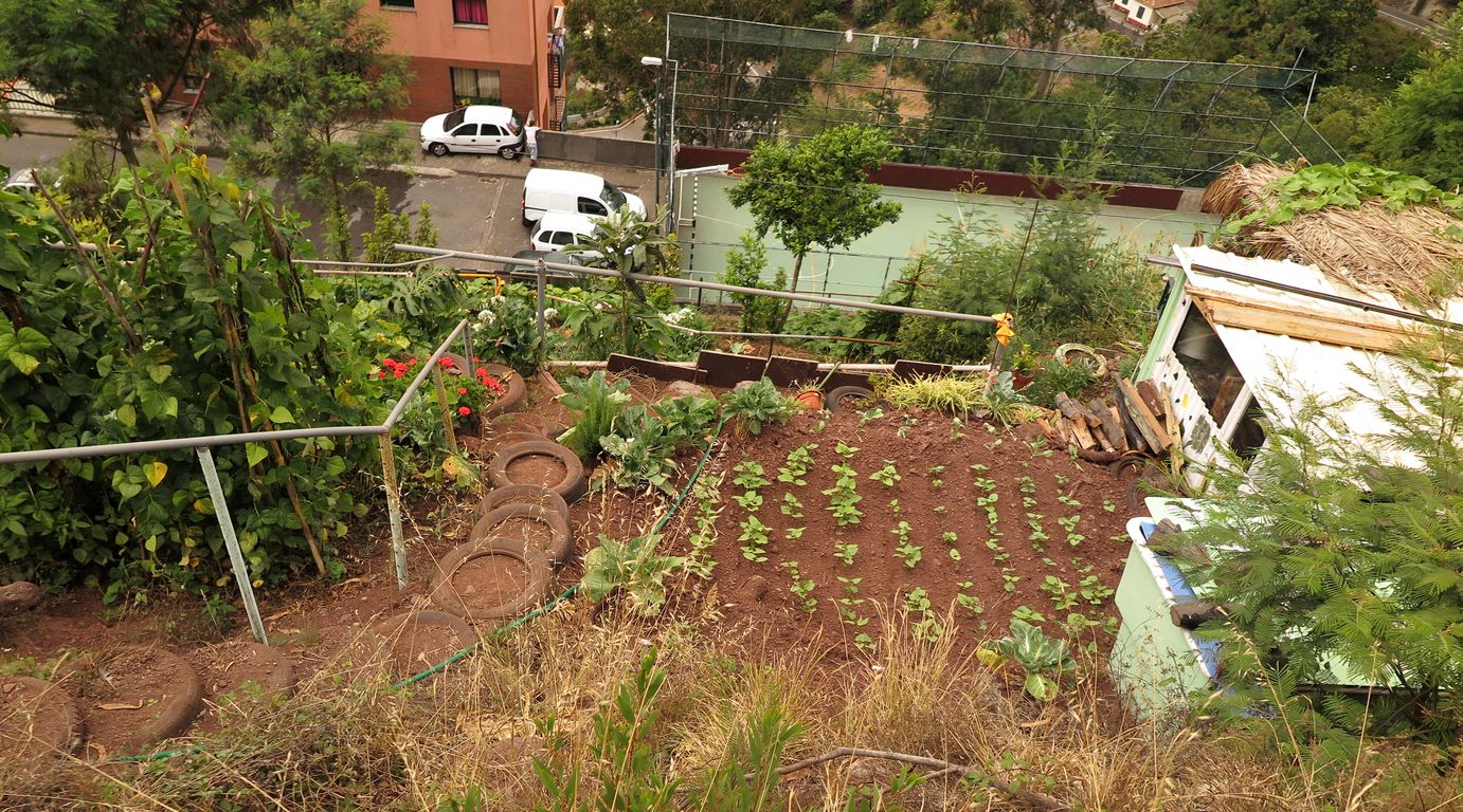 Madeira_2015_07_26_na levádě dos Tornos (16)