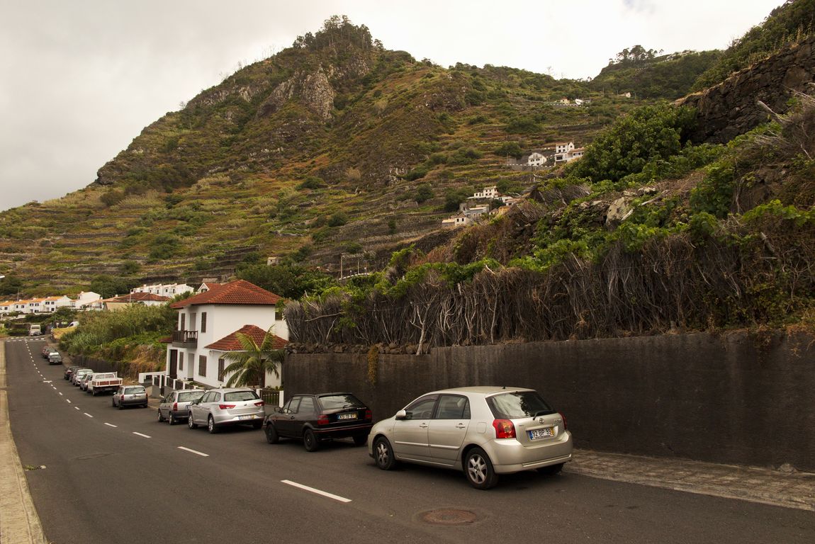 Madeira_2015_07_30 (26)_Porto Moniz_pěstování vinné révy