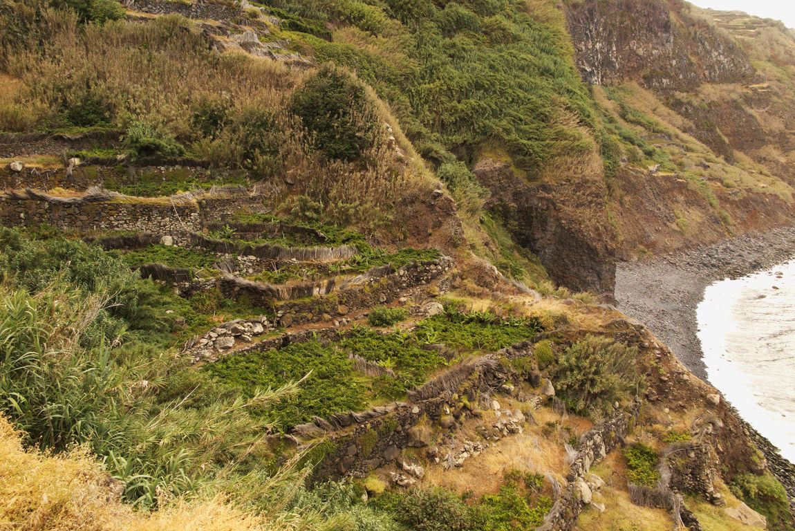 Madeira_2015_07_30 (32)_Porto Moniz_políčka nad západním pobřežím