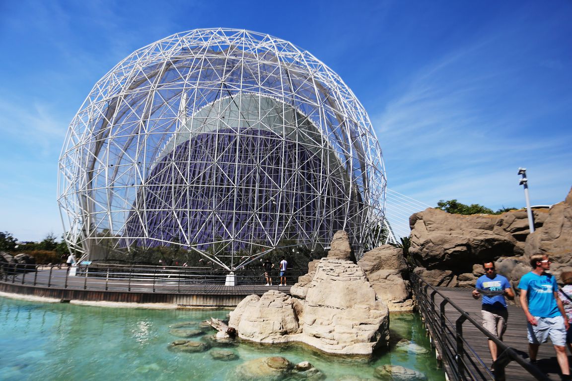 Oceanárium Valencia_2015_09_23 (13)