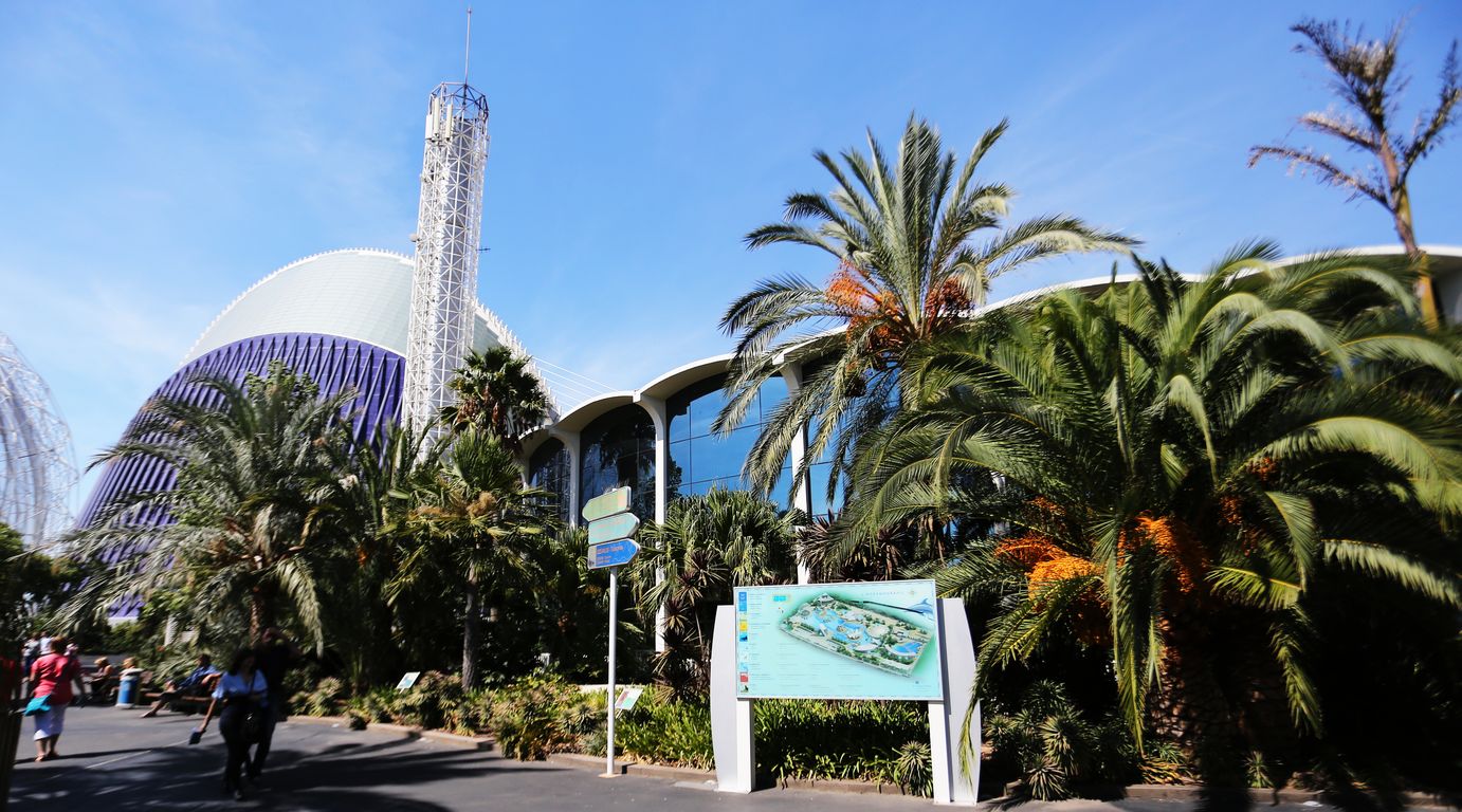 Oceanárium Valencia_2015_09_23 (14)