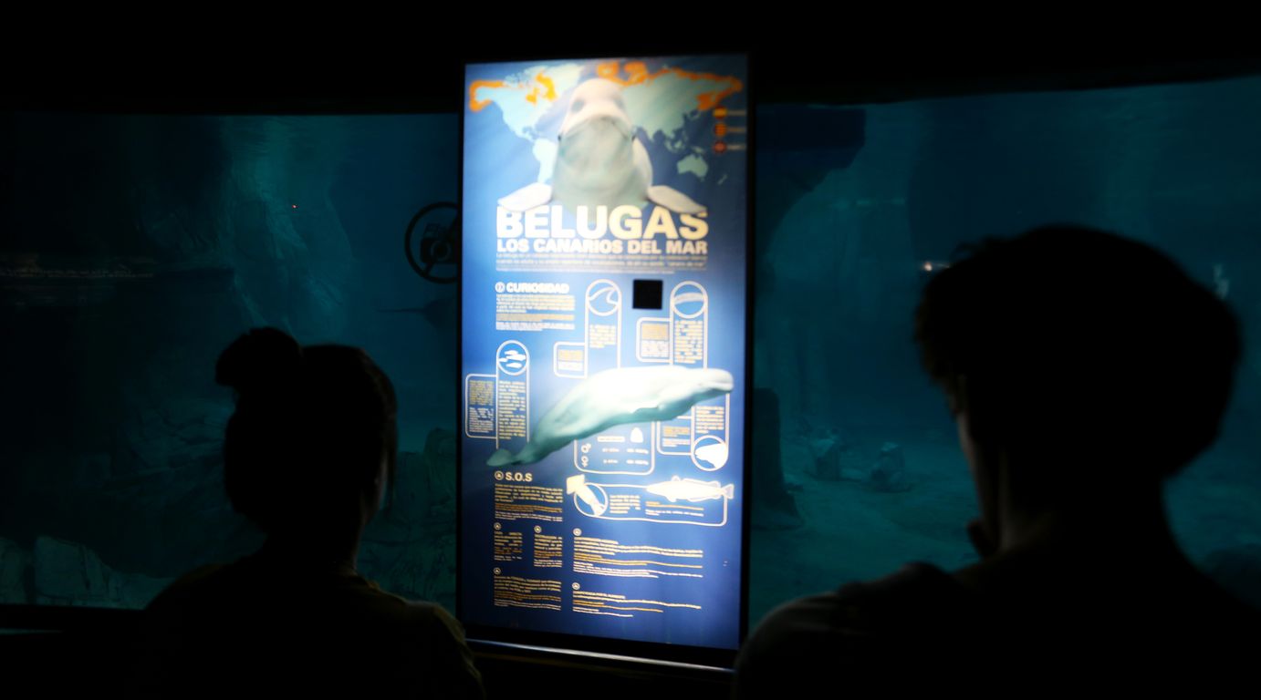 Oceanárium Valencia_2015_09_23 (42)