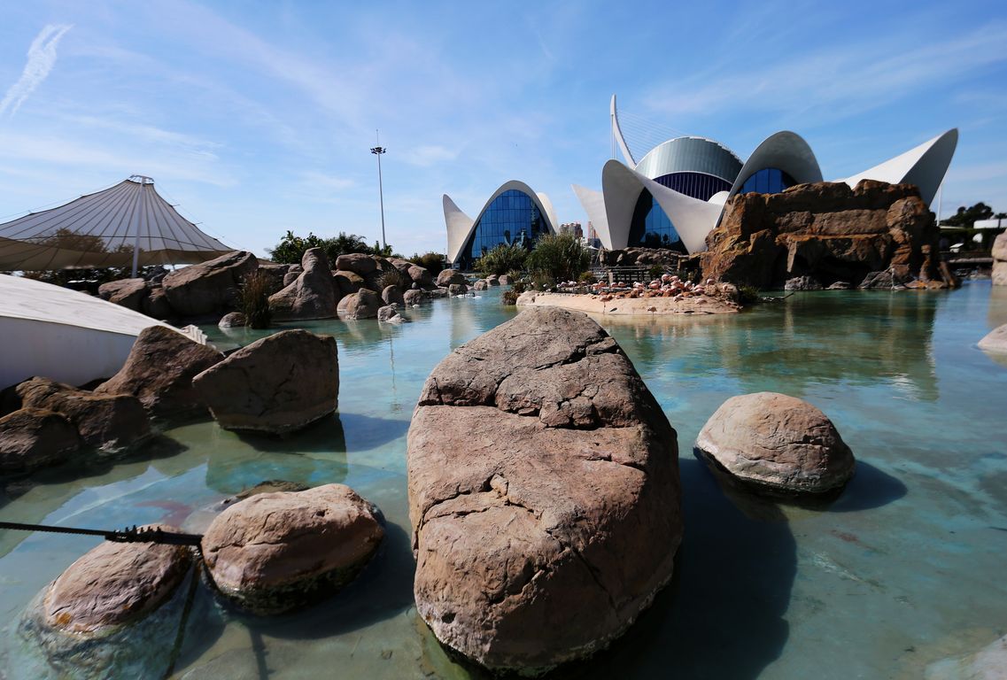 Oceanárium Valencia_2015_09_23 (50)