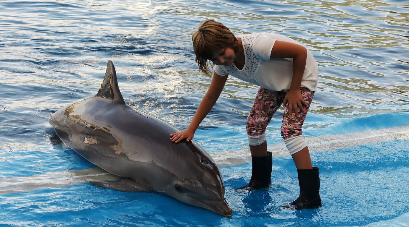 Oceanárium Valencia_2015_09_23 (71)