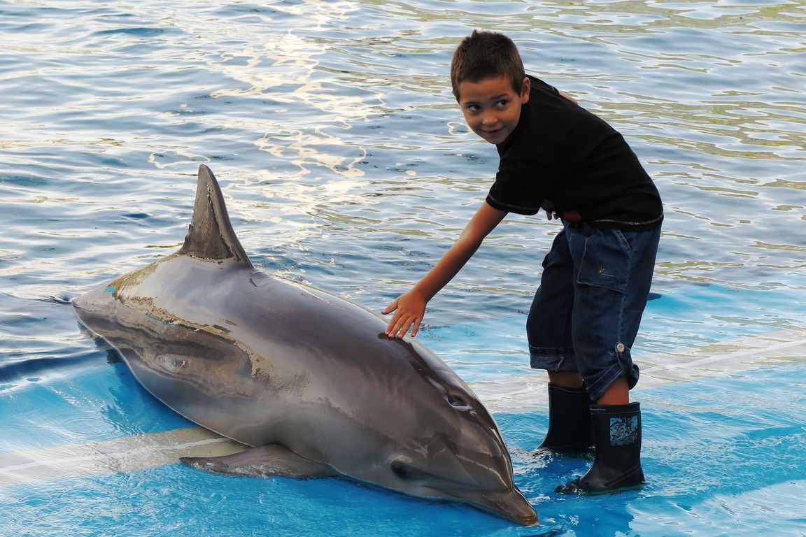 Oceanárium Valencia_2015_09_23 (72)