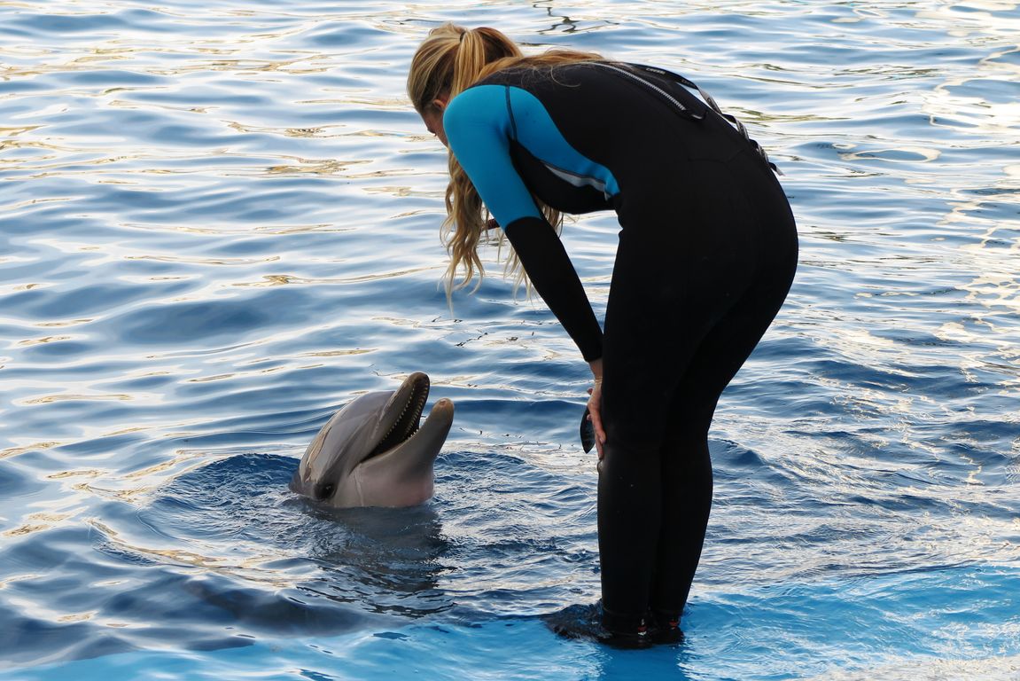 Oceanárium Valencia_2015_09_23 (73)