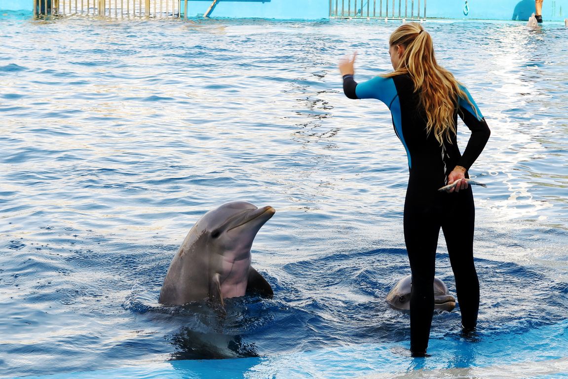 Oceanárium Valencia_2015_09_23 (77)