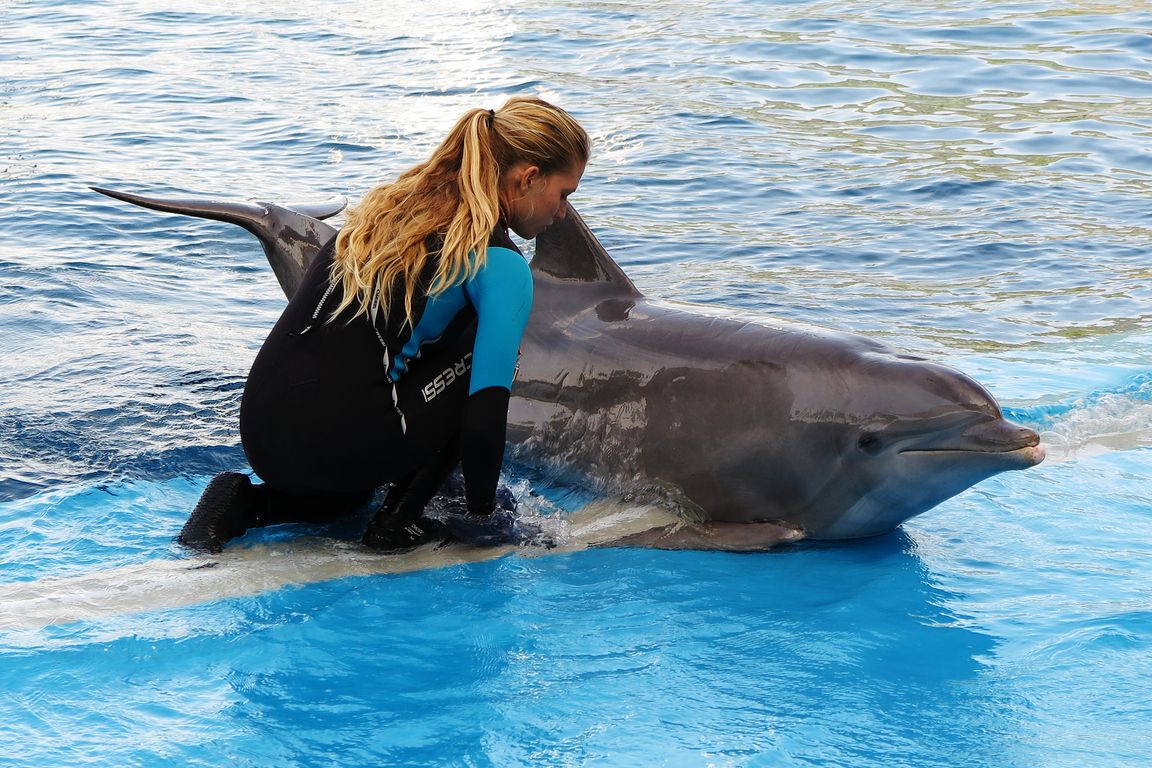 Oceanárium Valencia_2015_09_23 (78)