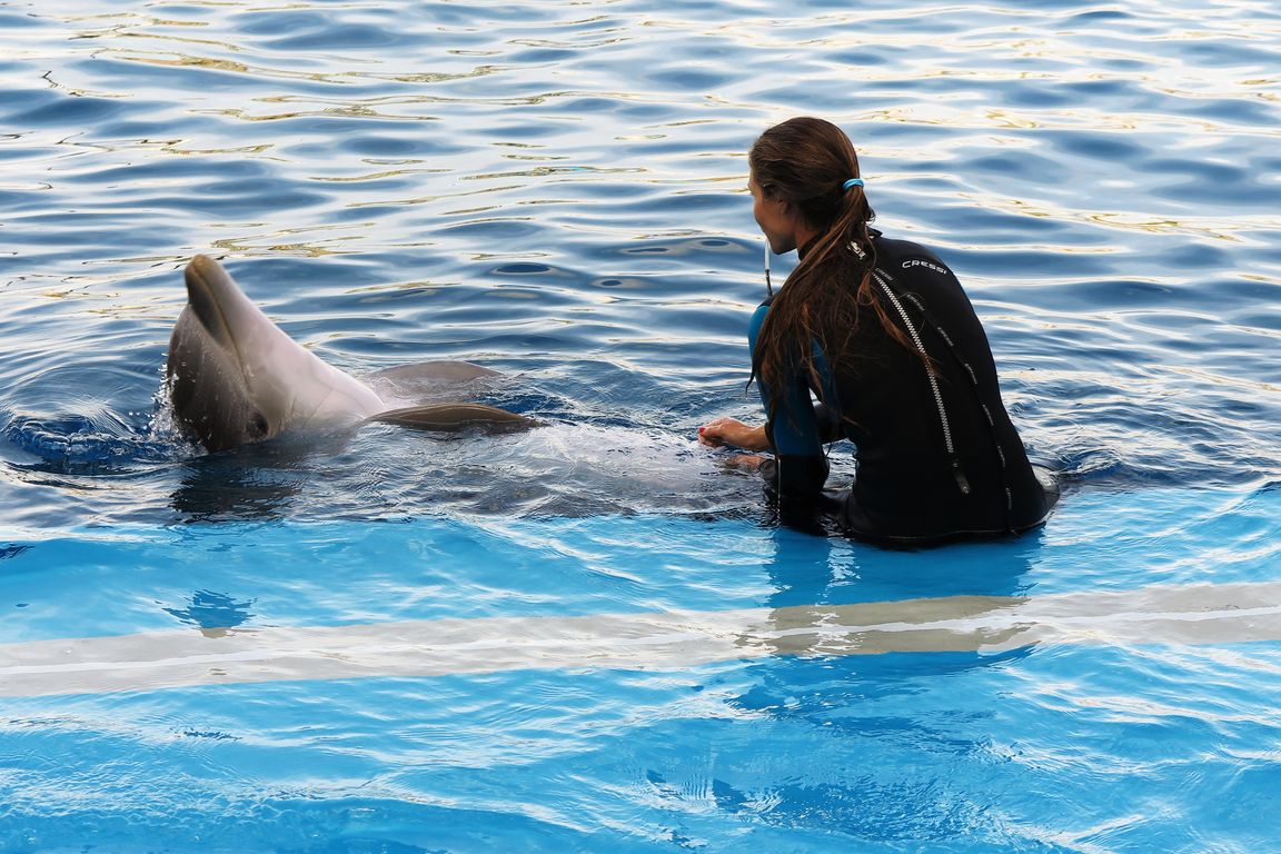 Oceanárium Valencia_2015_09_23 (80)