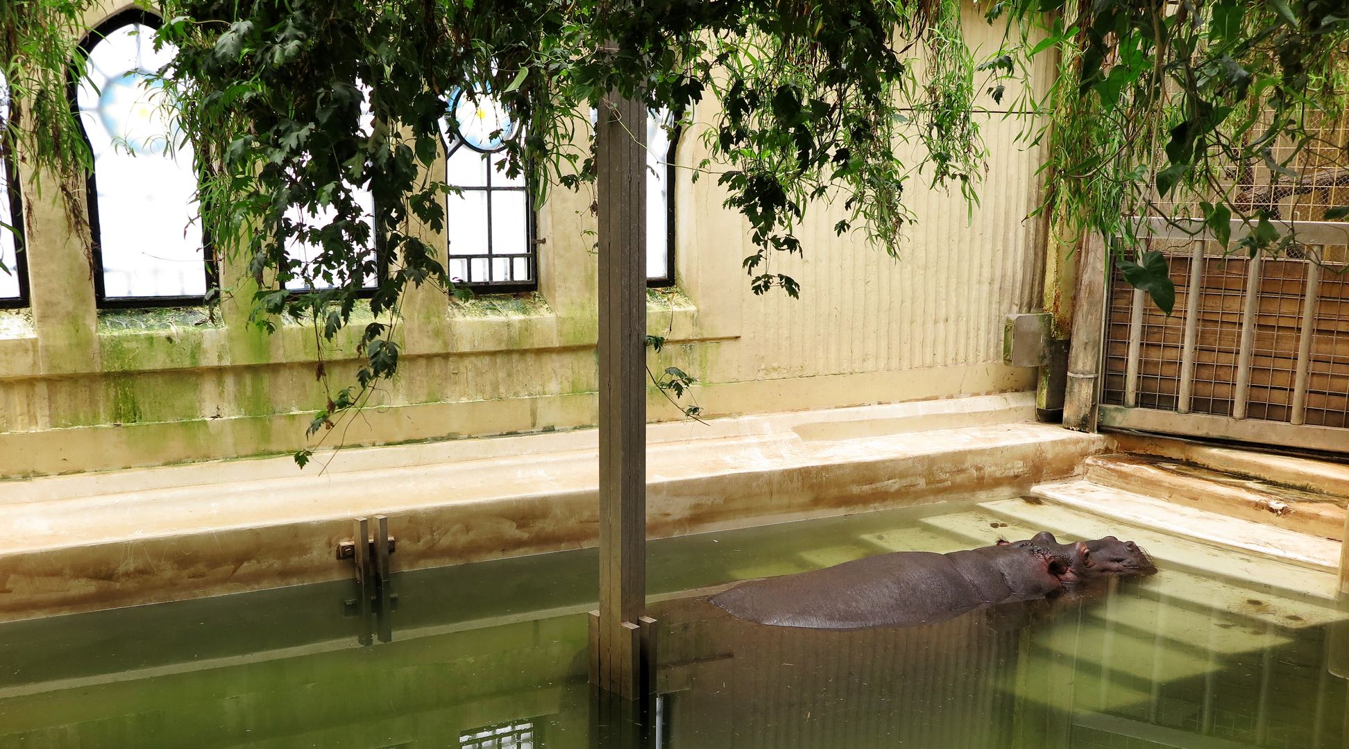 ZOO Budapešť (22)