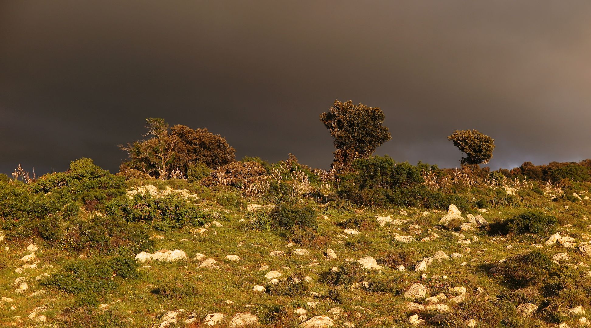 033_poblíž Monte Sant Angelo