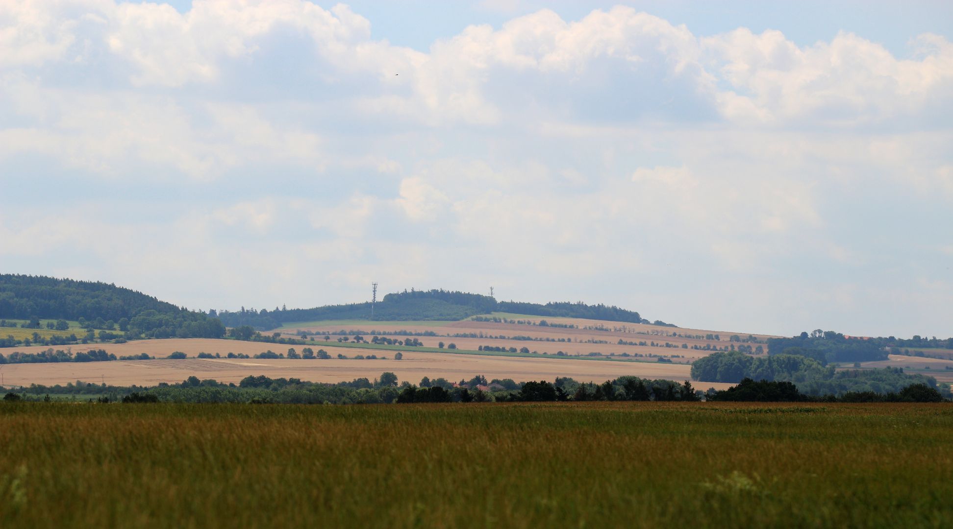 Vrch Vysoká u Kutné Hory