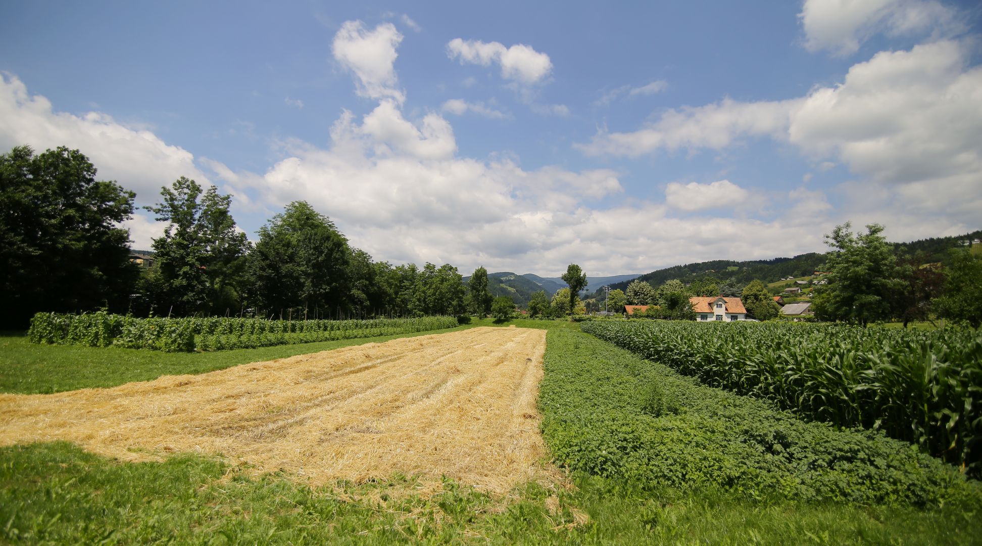 Zreče_panorama (1_1) (2)