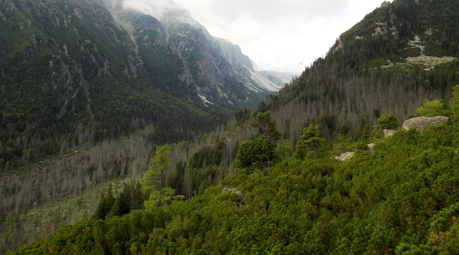 Tatranská Lomnica-Skalnaté Pleso-Starý Smokovec (7)