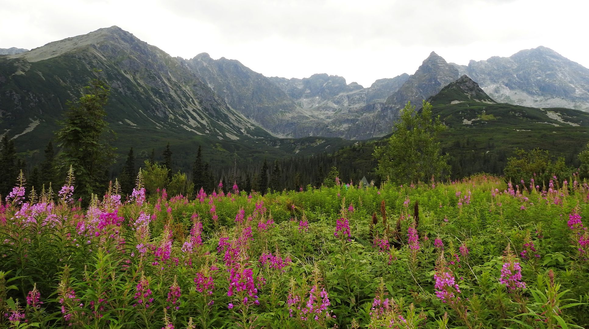 Zakopane - Kasprowy vrch (6)