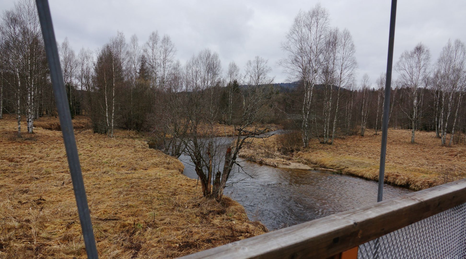 Šumava_Stožec_2017 (3)