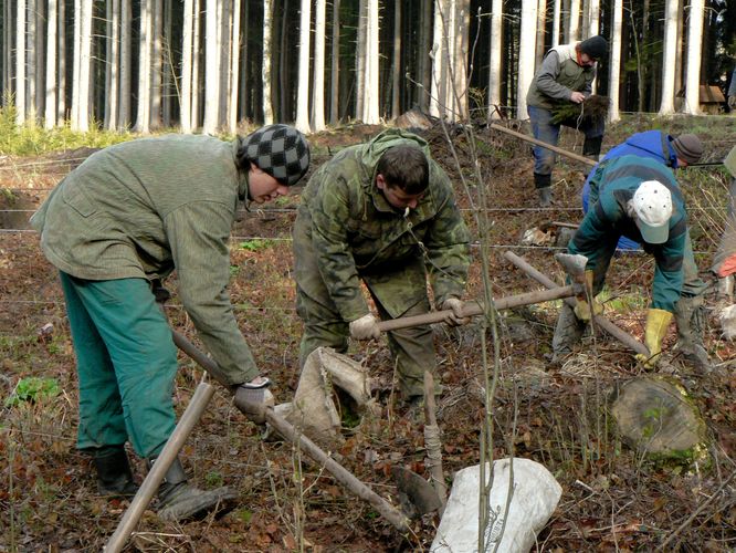 2008_04_sázení_Jilemnice.jpg