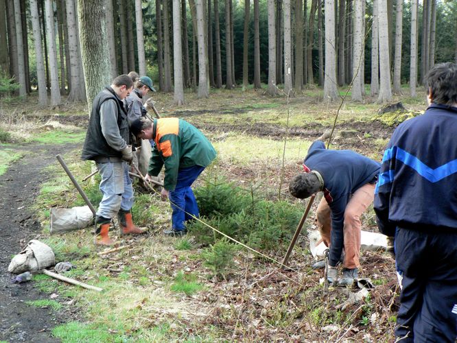 2008_04_sázení_Jilemnice (35).jpg