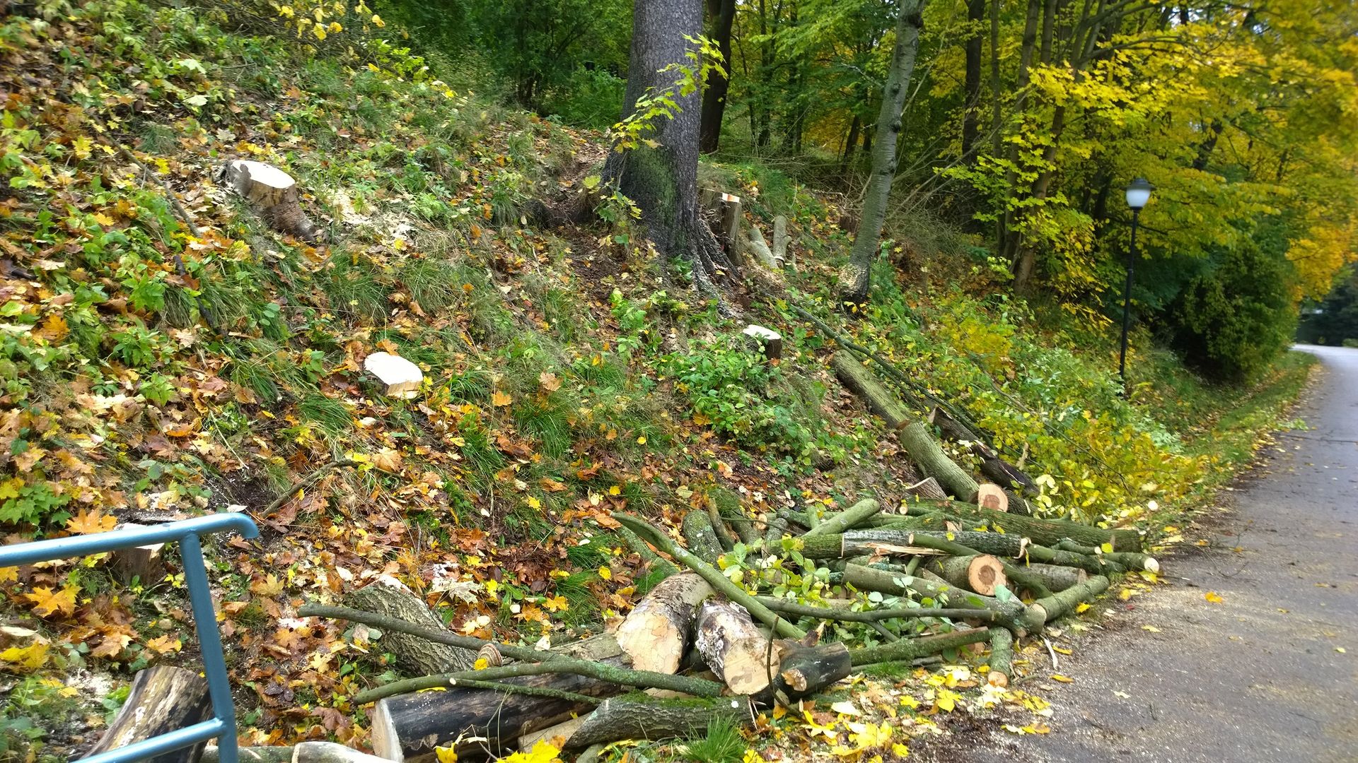 Areál ČLA Trutnov_údržba areálu_2017_10_17