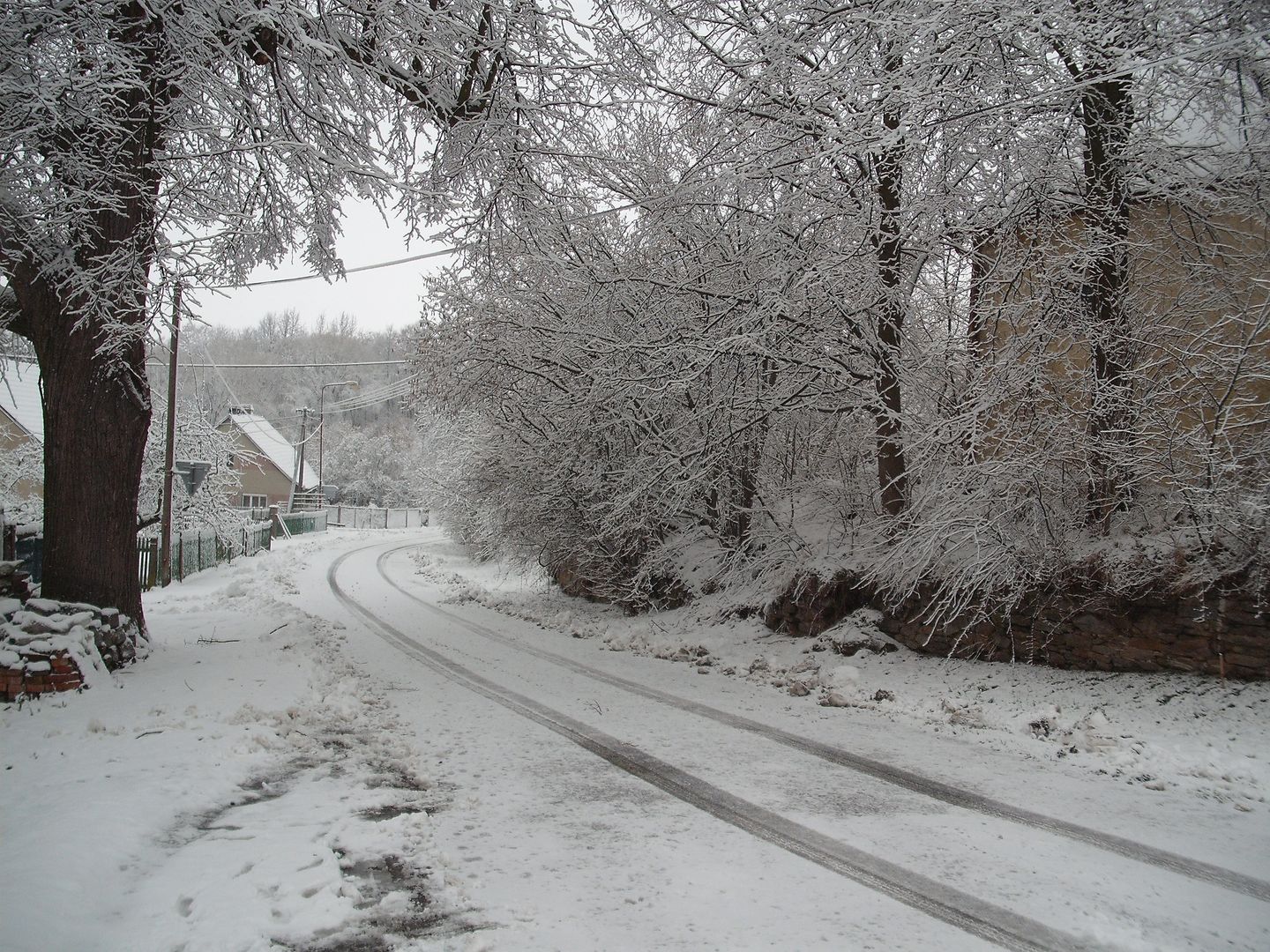 2016_02_Chroustkov_sníh je stále vzácnější (1)