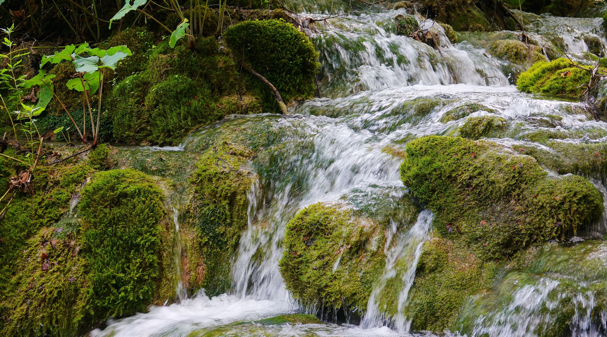 2017_07_Chorvatsko_NP Plitvická jezera (18)