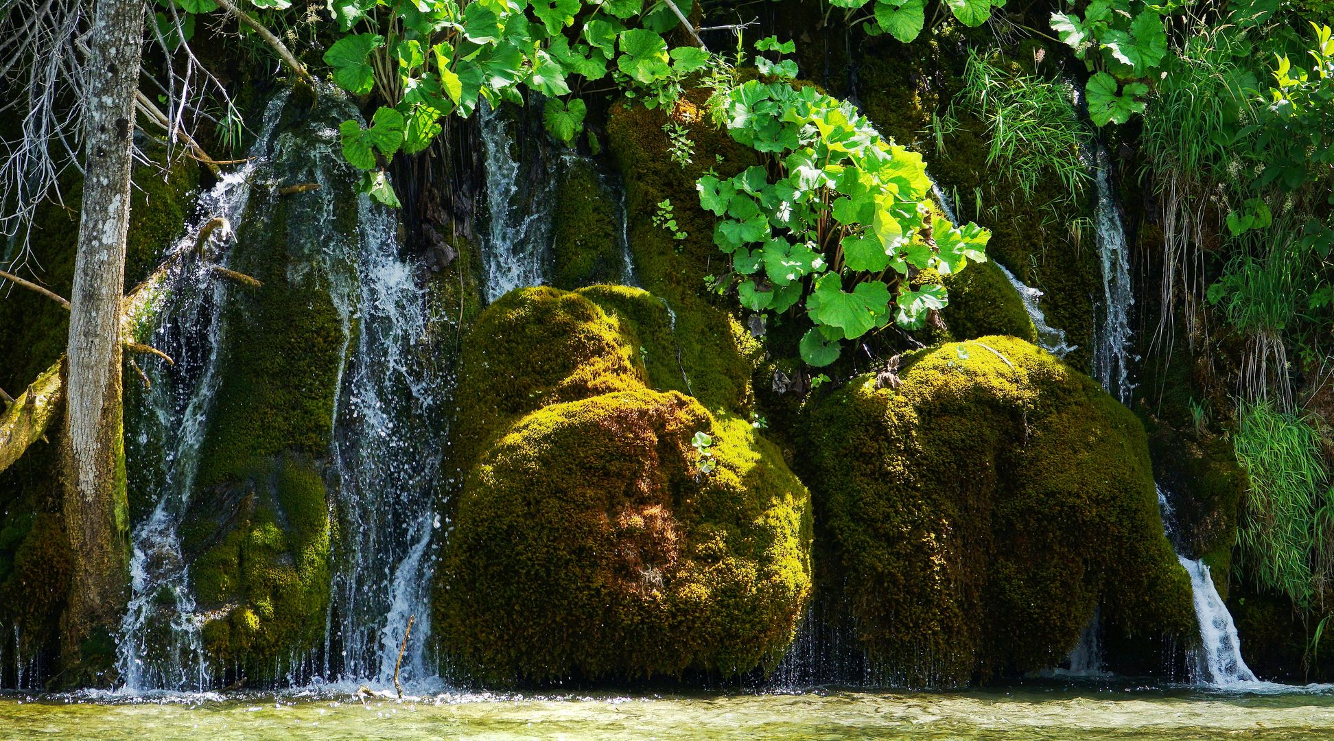 2017_07_Chorvatsko_NP Plitvická jezera (31)