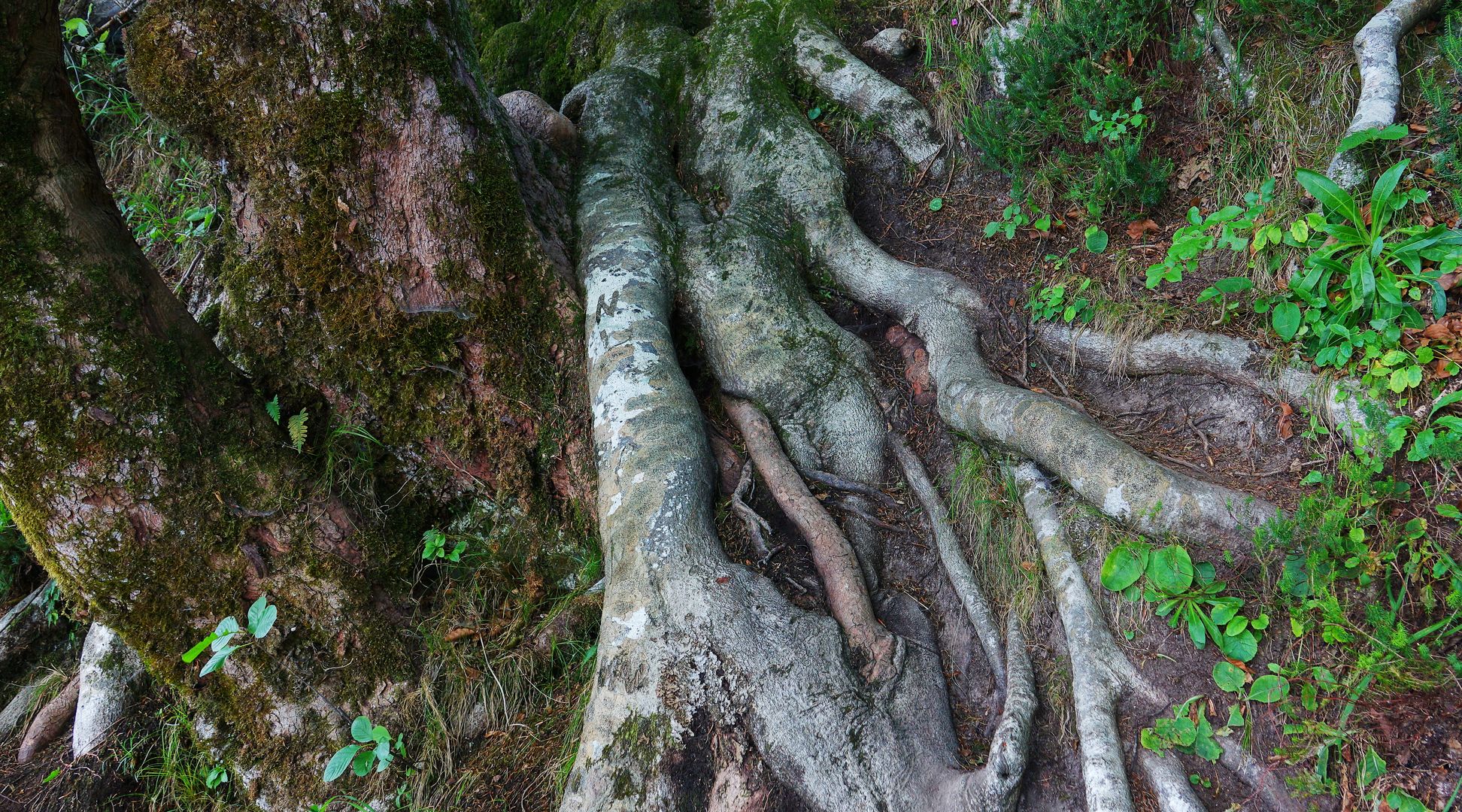 2017_07_Chorvatsko_NP Plitvická jezera (35)