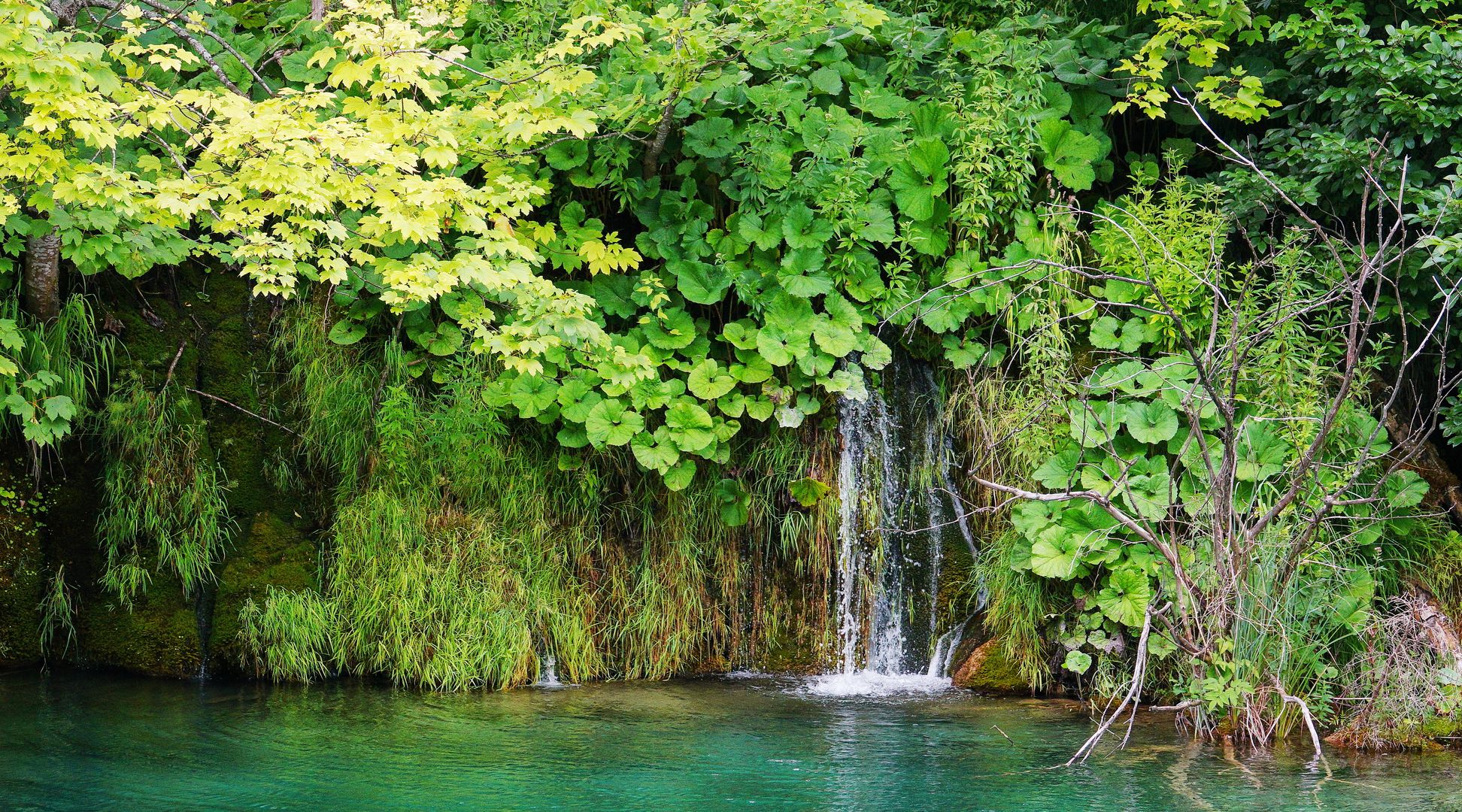 2017_07_Chorvatsko_NP Plitvická jezera (42)