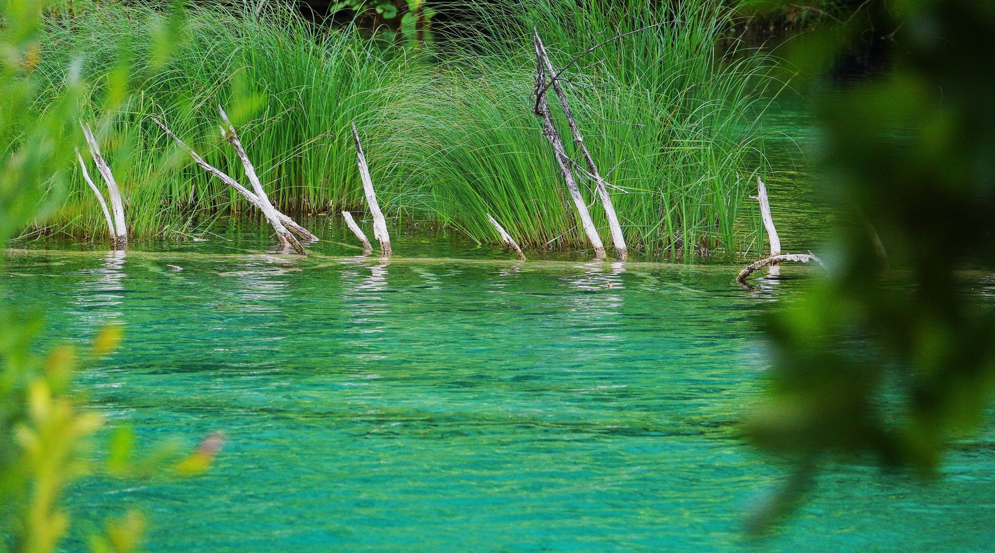 2017_07_Chorvatsko_NP Plitvická jezera (46)