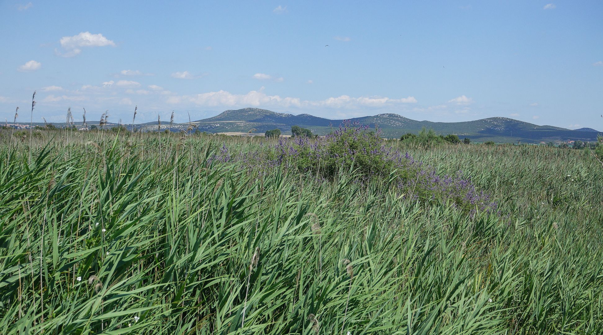 2017_07_Chorvatsko_Vranské jezero (7)