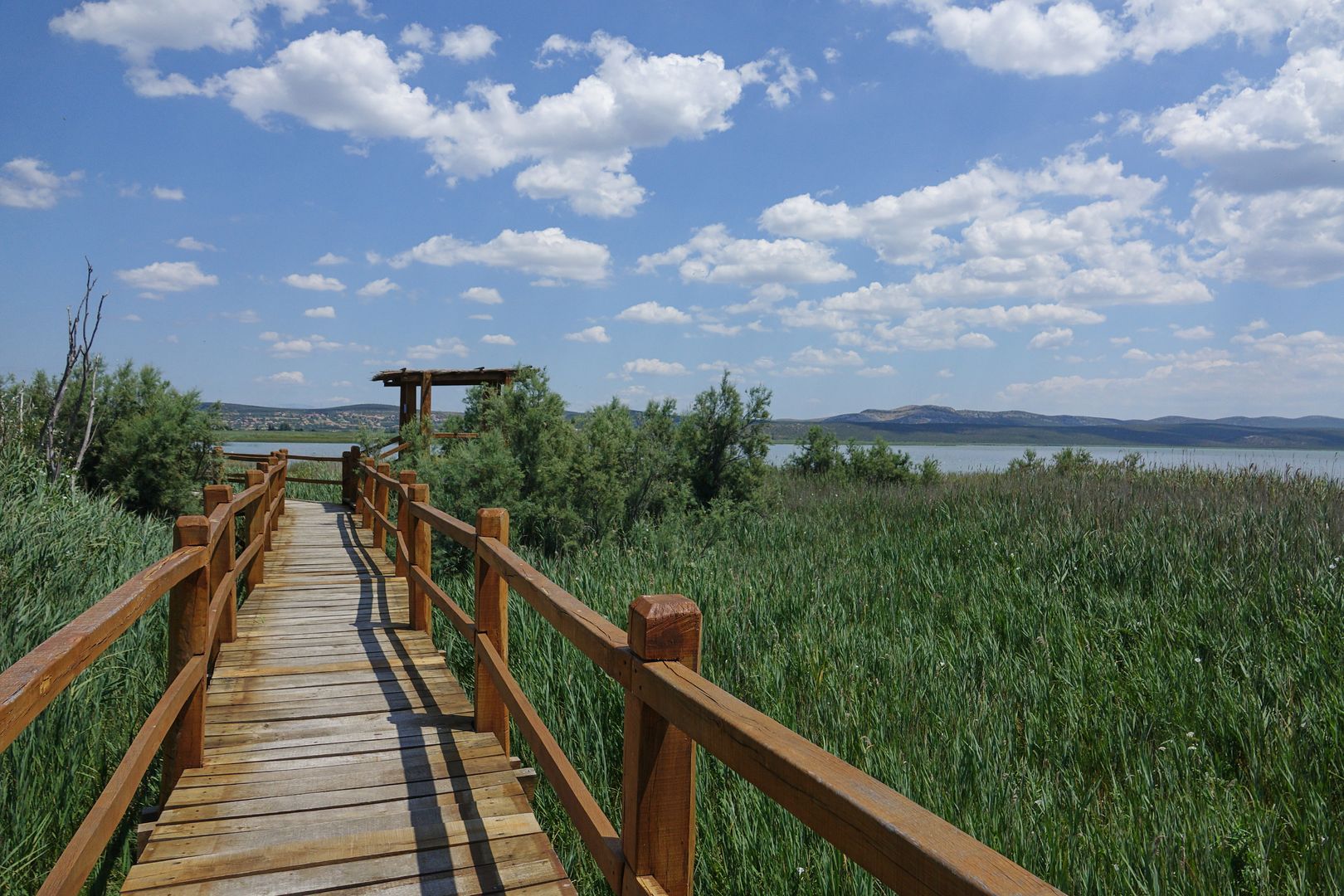 2017_07_Chorvatsko_Vranské jezero (8)