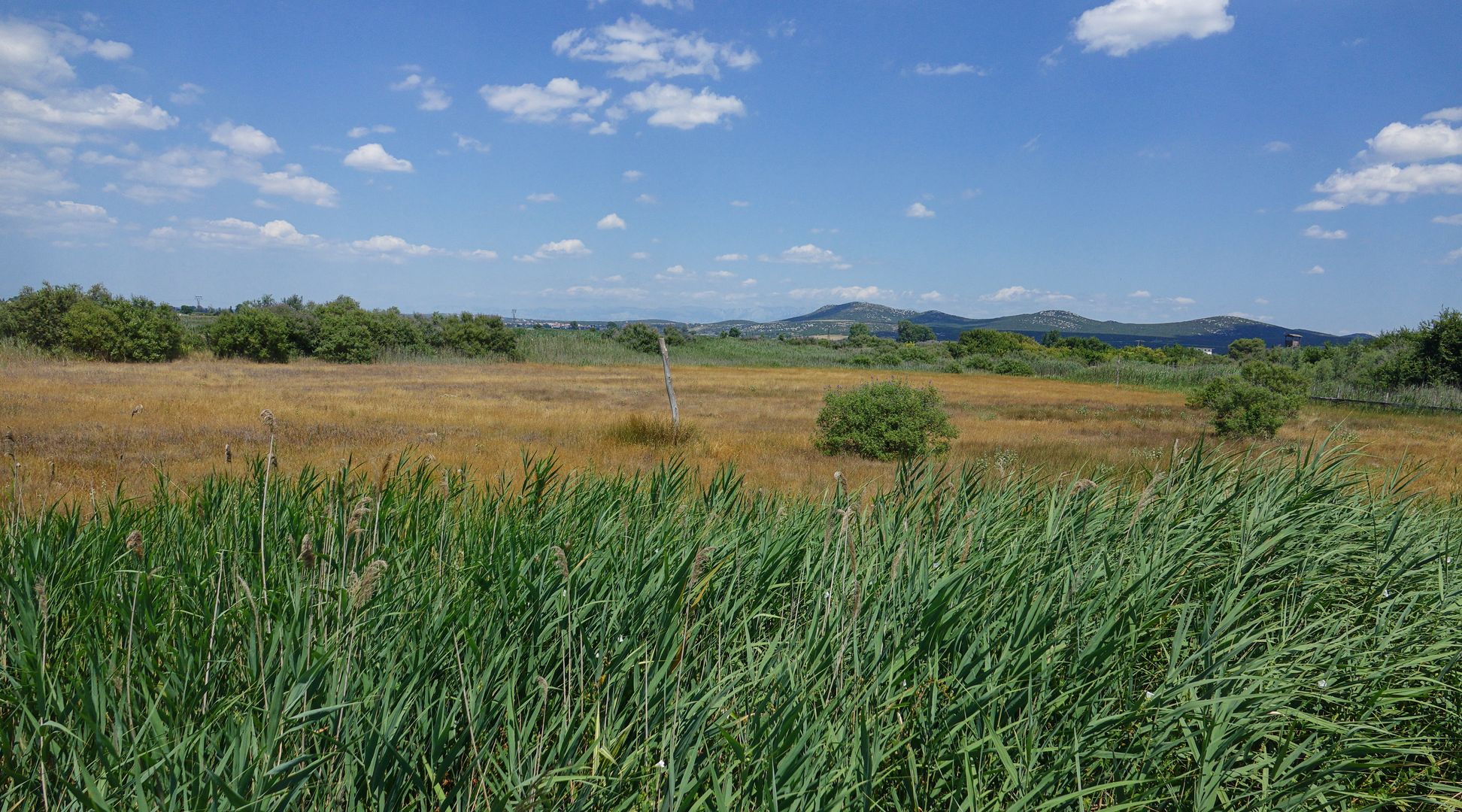 2017_07_Chorvatsko_Vranské jezero (13)