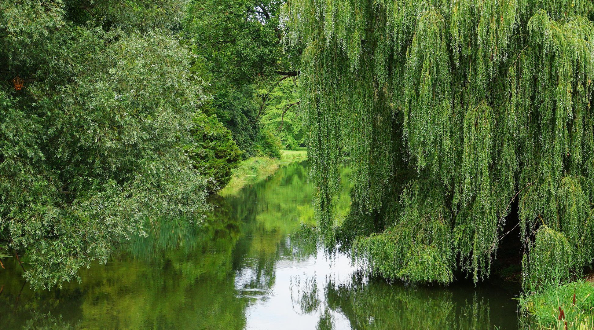 2017_07_Lednicko-valtický areál_lednický zámek a park_05