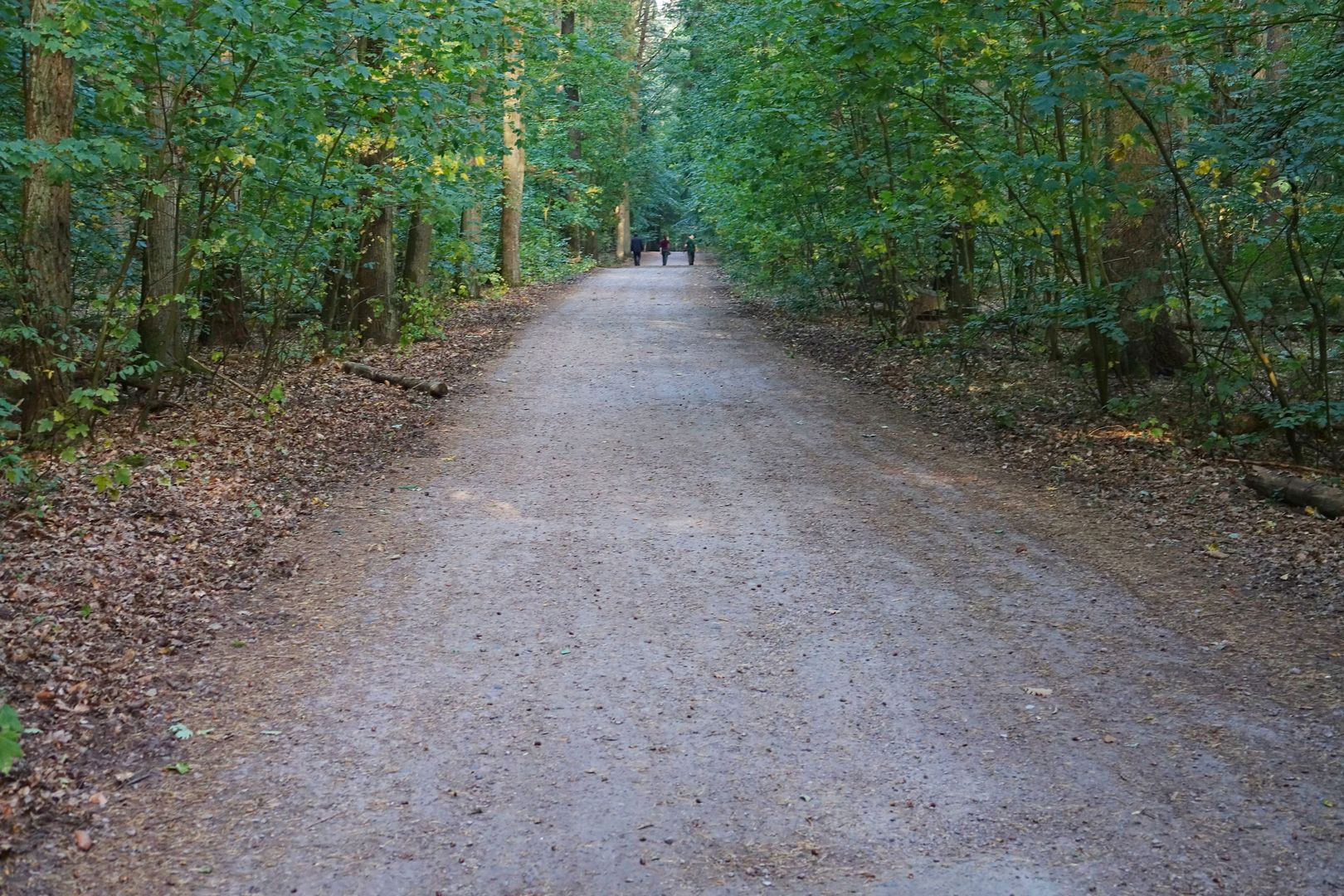 2018_09-21_Woliński Park Narodowy (9)