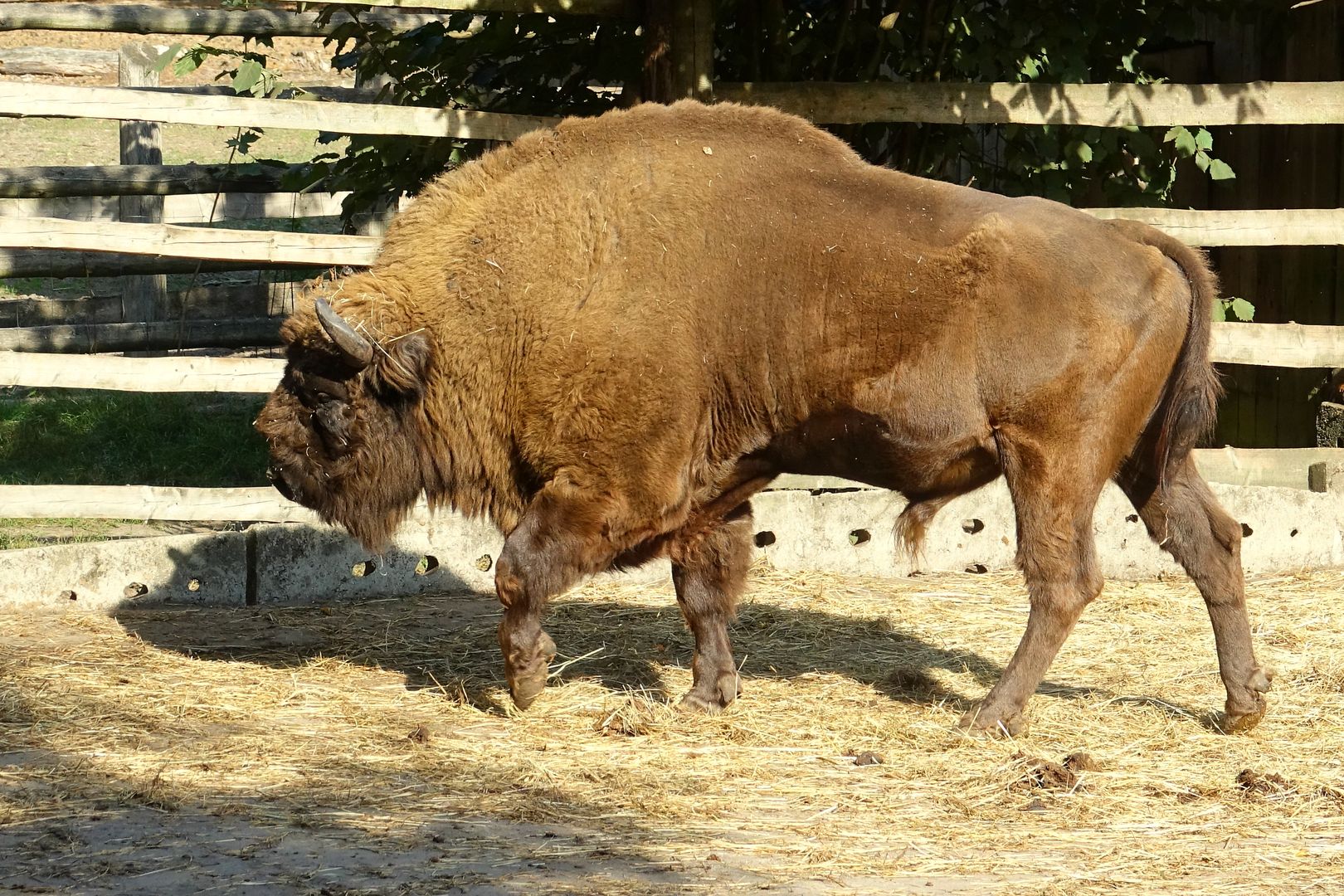 2018_09-21_Woliński Park Narodowy (33)