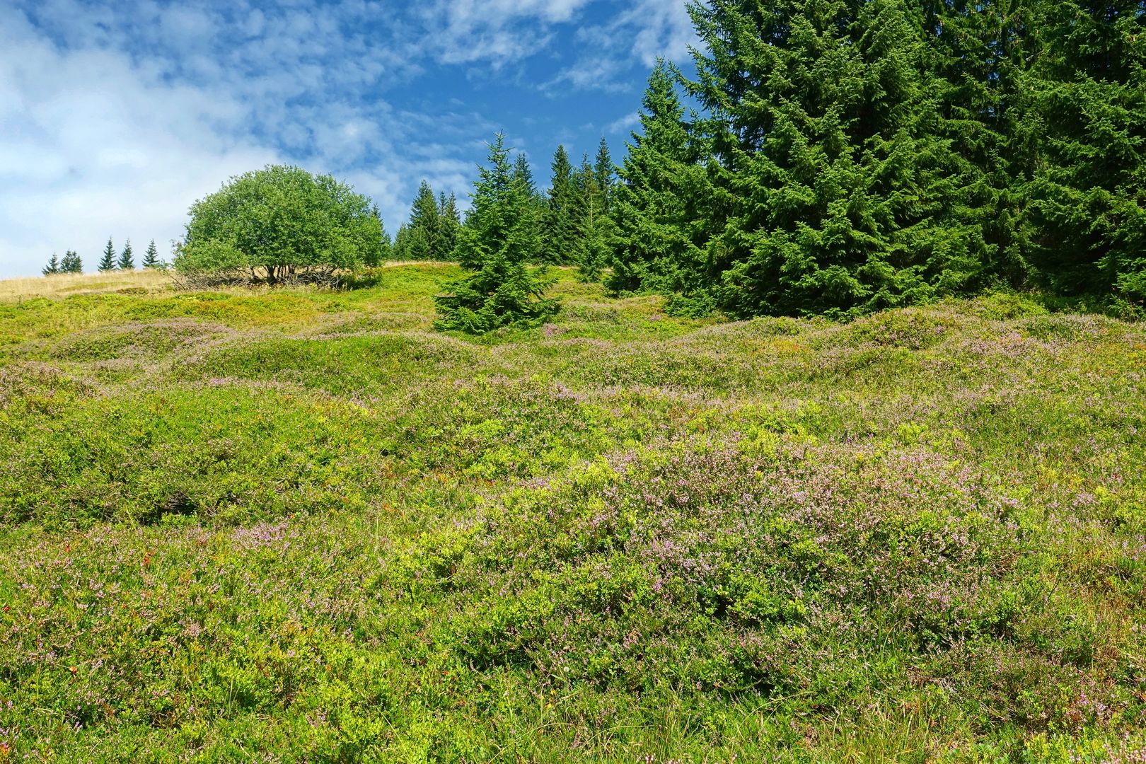 Modrým dolem (8)