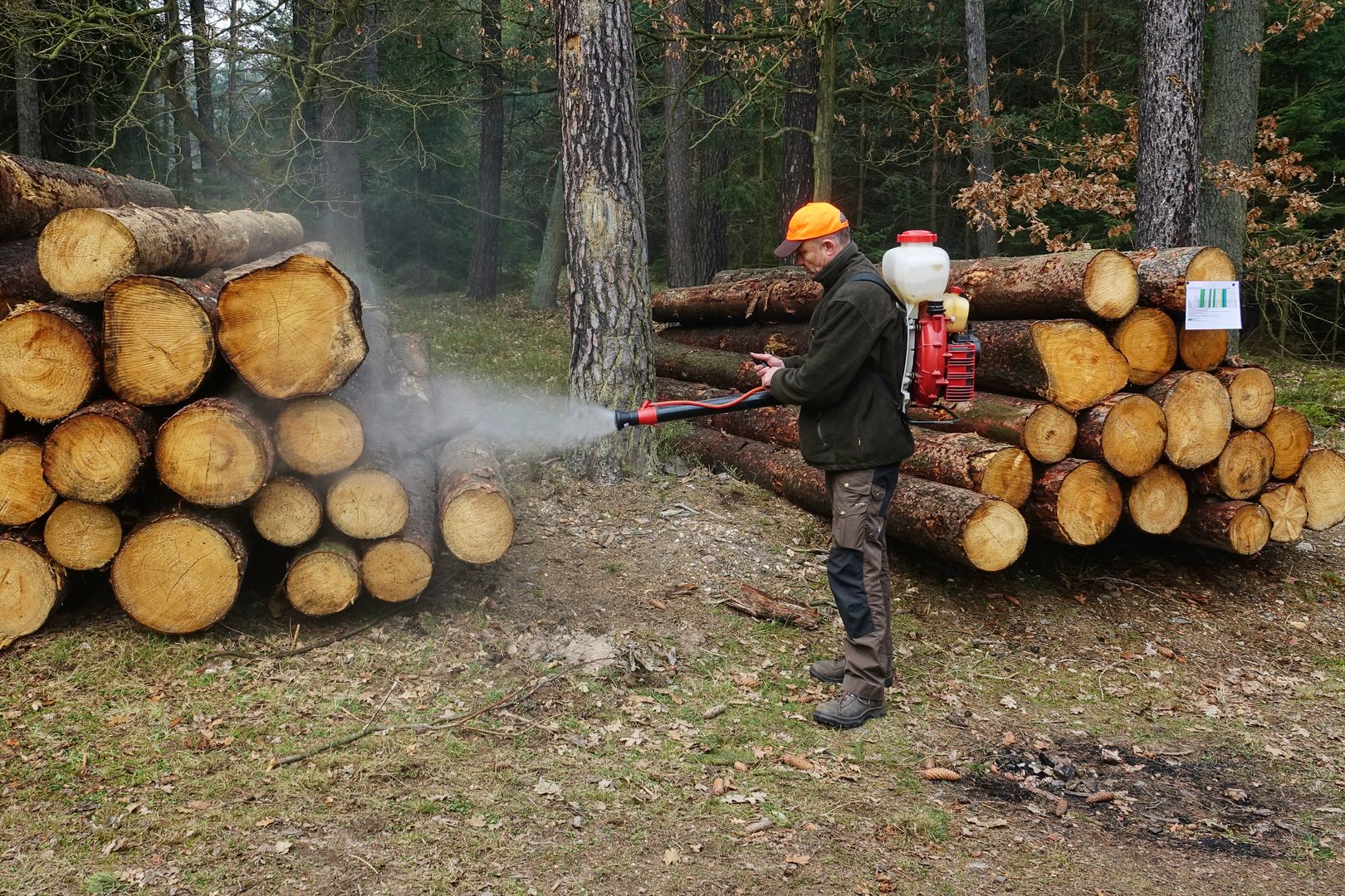 2019_04_Asanace kůrovcové kalamity (12)